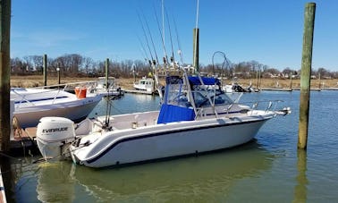 Charte de pêche sur un bateau de 25 pieds