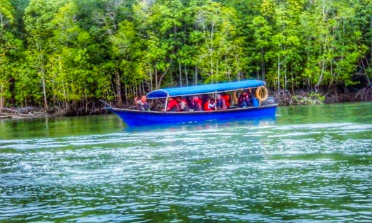 See the Bat Caves By Canal Boat in Langkawi, Malaysia