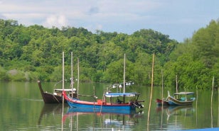 1-4 Hour a Canal Boat Tours in Langkawi, Malaysia