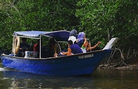Private or Public Tours on Boat from Langkawi, Malaysia