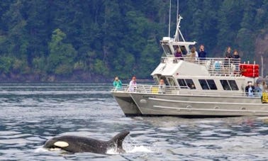 Excursión en barco de 38 pies en Eastsound, Washington