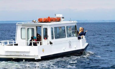 Excursions d'observation des baleines à Eastsound, Washington