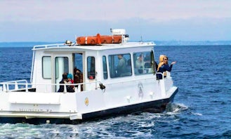 Whale Watching Tours in Eastsound, Washington