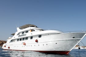 Bella Liveaboard - full charters in South Sinai Governorate, Egypt