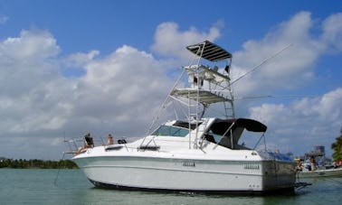 Mergulho com snorkel, pesca e cruzeiro pelo mar do Caribe em Hopkins Belize