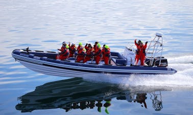 Excursiones exclusivas de Sea Adventures en Parker Baltic 900 RIB en