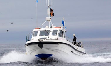 MV. Viagens de mergulho costeiro em Saint Abbs