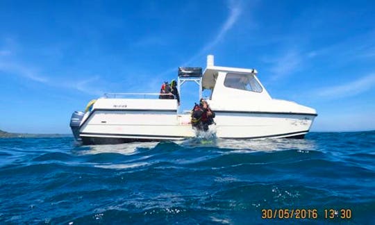 Diving Boat Trips in England, UK