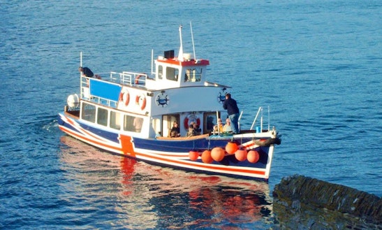 fishing boat charter falmouth boat rentals and charters in falmouth england getmyboat fishing boat charter falmouth boat rentals and charters in falmouth england getmyboat