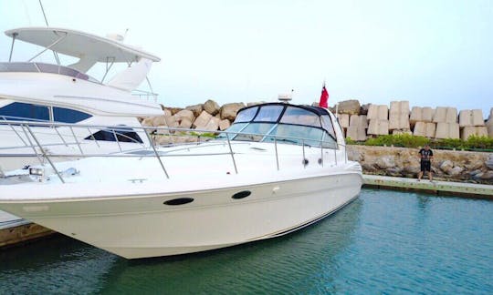 45ft Sea Ray Sundancer Motor Yacht for rent in Punta Sam Quintana Roo