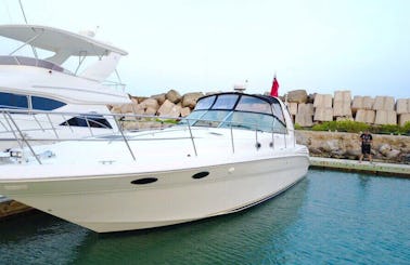 45ft Sea Ray Sundancer Motor Yacht for rent in Punta Sam Quintana Roo