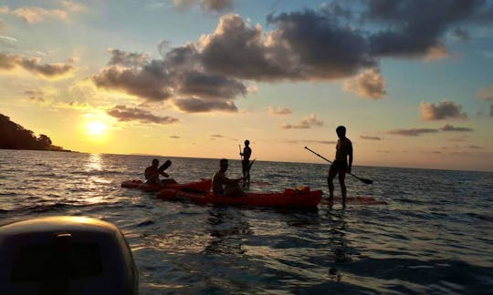Kayak Rental In Bahía Drake