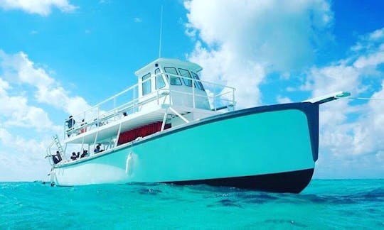 Snorkeling in West Bay, Grand Cayman