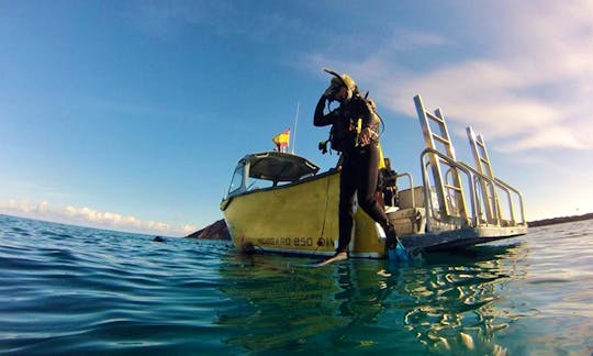 Diving Trips & Courses  in Corralejo
