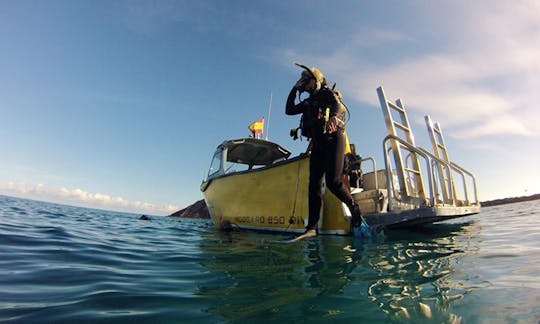 Diving Trips & Courses  in Corralejo