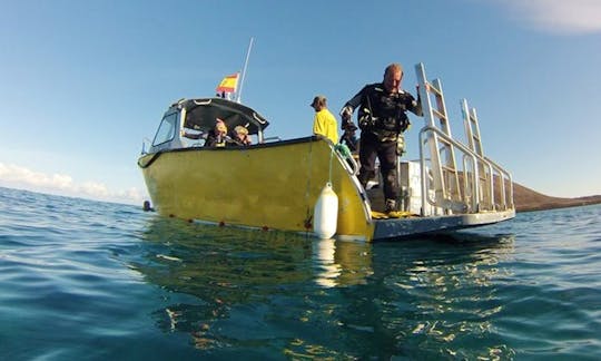 Diving Trips & Courses  in Corralejo