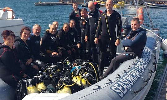 Enjoy Diving Courses and Trips in Ponta Delgada, Azores