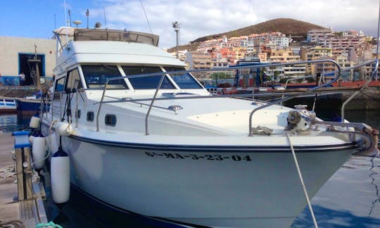39ft Sport Fisherman Charter in Santiago del Teide, Spain