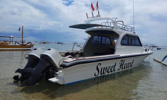 Snorkeling Day Charter in Nusa Penida