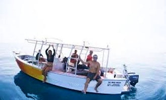 Customized Private Half day Boat Charters out of Nadi, Fiji