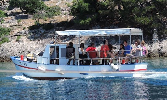 Excursion privée en bateau à Volarice, Croatie