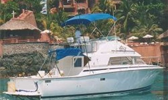 Fishing Charter ' 35ft Aries in Zihuatanejo