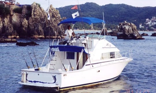 Fishing Charter ' 35ft Aries in Zihuatanejo