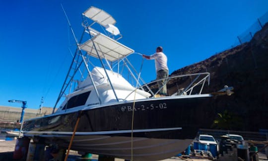 Bertram 31 Sportfishing Yacht Charter in Canary Islands