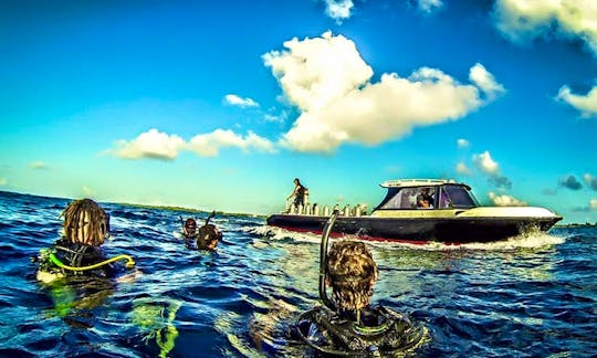 Enjoy Fun Diving in Útila, Honduras
