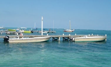 ¡Excursiones en barco de buceo por arrecifes locales para 2 personas en Belice!