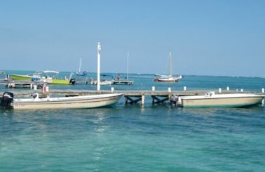 Local Reef Dive Boat Trips for 2 Person in Belize!