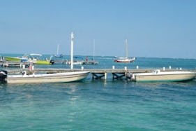 Local Reef Dive Boat Trips for 2 Person in Belize!