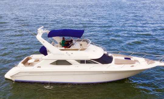 50' Sea Ray Motor Yacht Best Rate in Miami, Florida