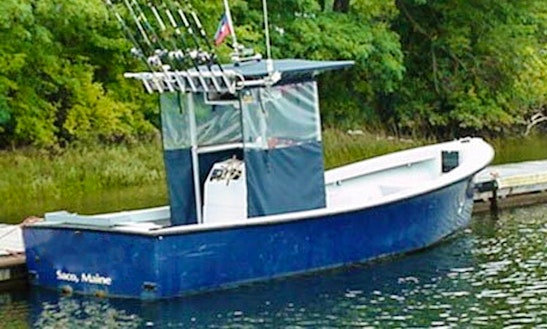 kayak rentals portland Or - Alder Creek Enjoy Fishing In South Portland, Maine With Captain Luis ...