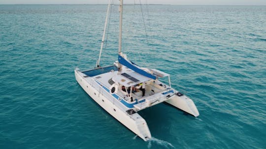 50ft Sailing Catamaran Private Charter / Capacity 50 people