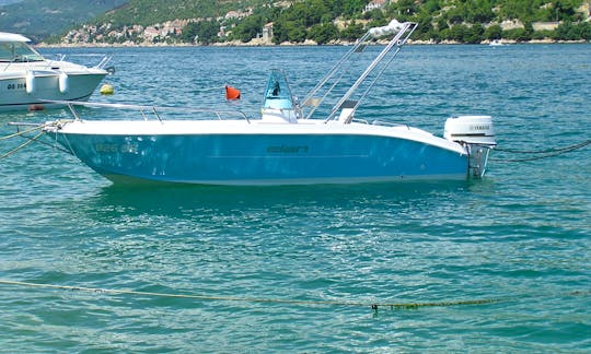 Elan 18 CC with Yamaha 90 HP  in Dubrovnik