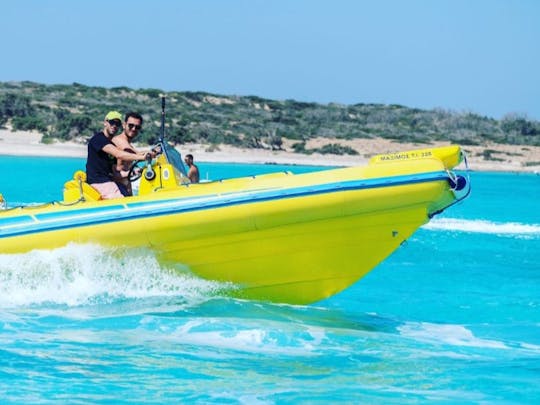 Explore os mares do sul de Creta com o Dolphin RIB de 21 pés