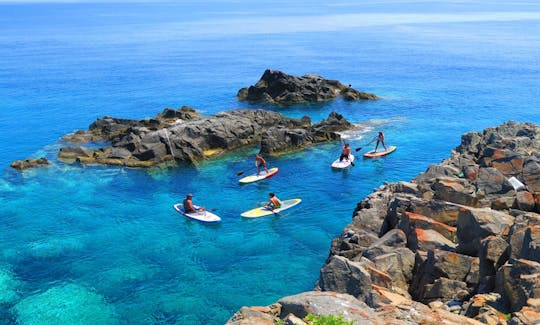 クロアチア、ヴィス島、ミルナでスタンドアップパドルボードをお楽しみください