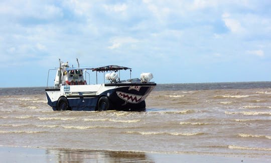 Excursão Seal Safari em Hunstanton