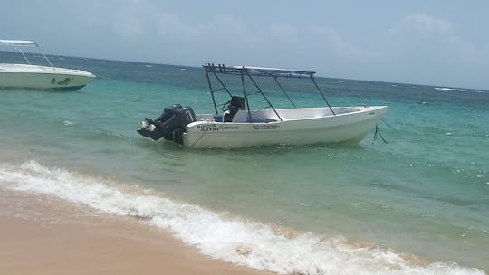 Excursions en bateau à Las Terrenas sur un bateau à moteur Profina de 33 pieds