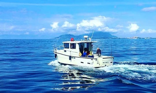 Fishing Charter on TR 29 Cuddy Cabin in Napoli, Campania with Captain Vincenzo