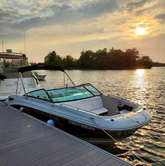 Professional Luxury Day Charter in the Muskoka Lakes