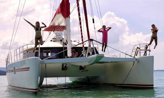 Luxury Sailing Catamaran Charter around the Islands (4 hour minimum)