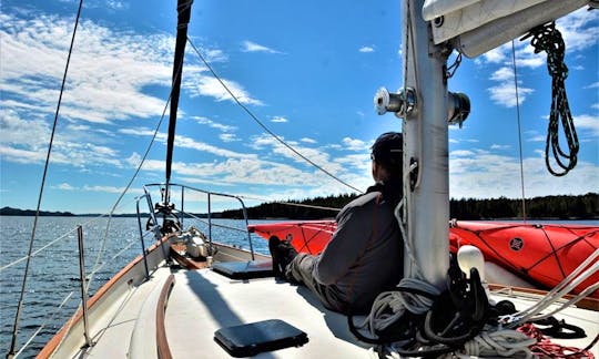 Experience the Wildness of the Great Bear Rainforest from our Spacious Pilothouse Sailboat Classic 39ft Cooper "Seawolf"
