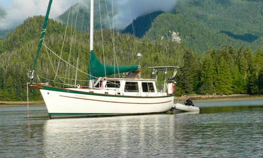 Experience the Wildness of the Great Bear Rainforest from our Spacious Pilothouse Sailboat Classic 39ft Cooper "Seawolf"