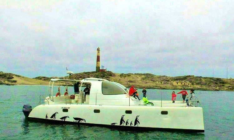 luderitz catamaran tours