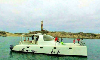 "Penguin" Catamaran Rental In Luderitz, Namibia