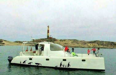 "Penguin" Catamaran Rental In Luderitz, Namibia