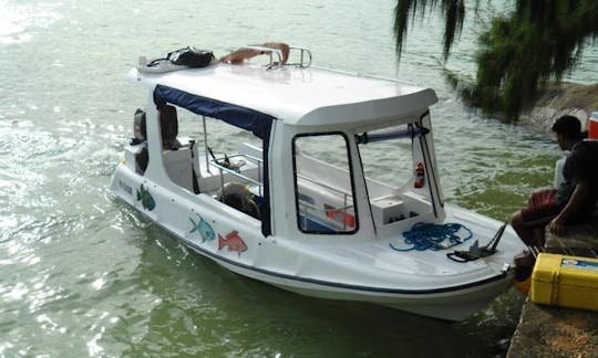 Charter Island Hopper Glass Bottom Boat in Victoria, Seychelles