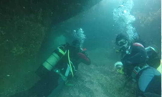 Beginner Scuba Diving Lesson in Cork